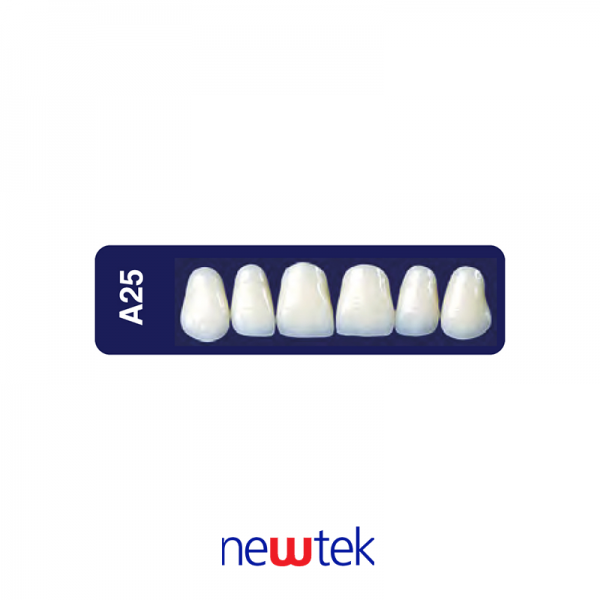 Dientes Newtek Superior A25