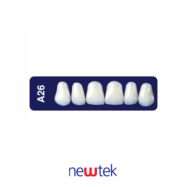 Dientes Newtek Superior A26