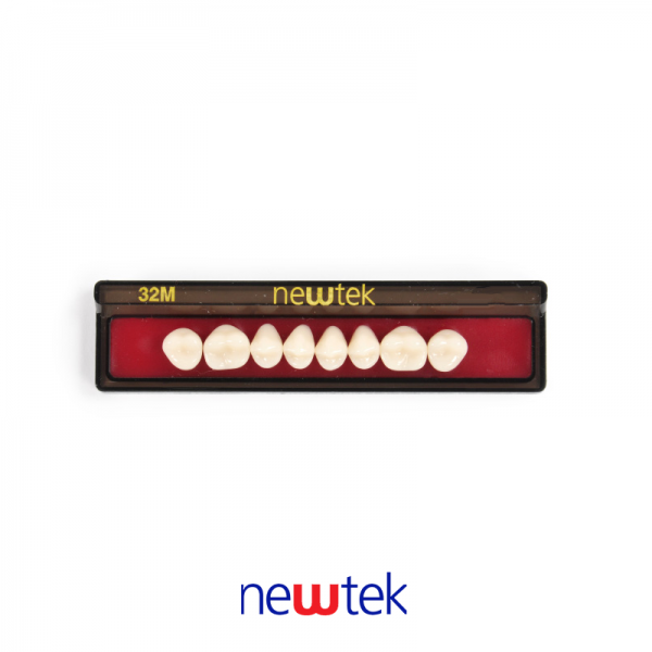 Dientes Newtek Superior 32M