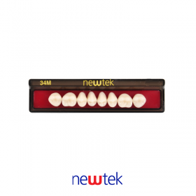 Dientes Newtek Superior 34M