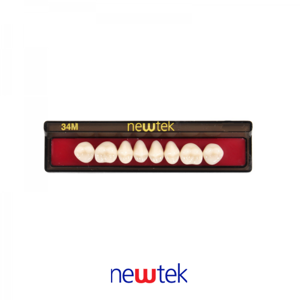 Dientes Newtek Superior 34M