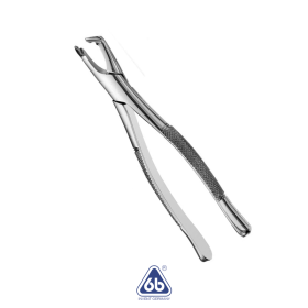 Forcep Adulto No. 222 - 6B Germany